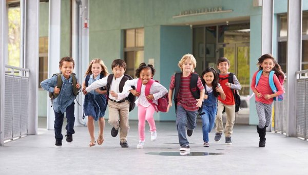 Comment choisir une école primaire pour mon enfant ?